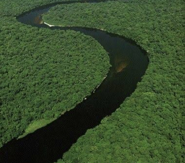 Top Five Longest Rivers In Africa Contents101 3194