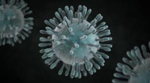 Corona virus: Everything you need to know 