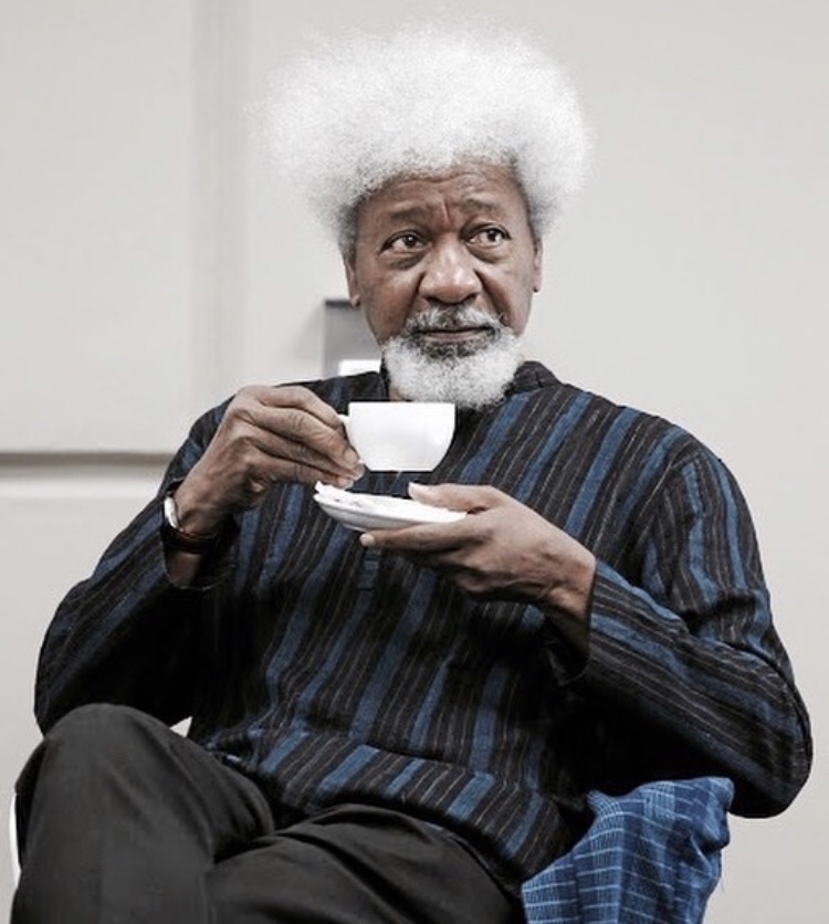 write a biography of wole soyinka