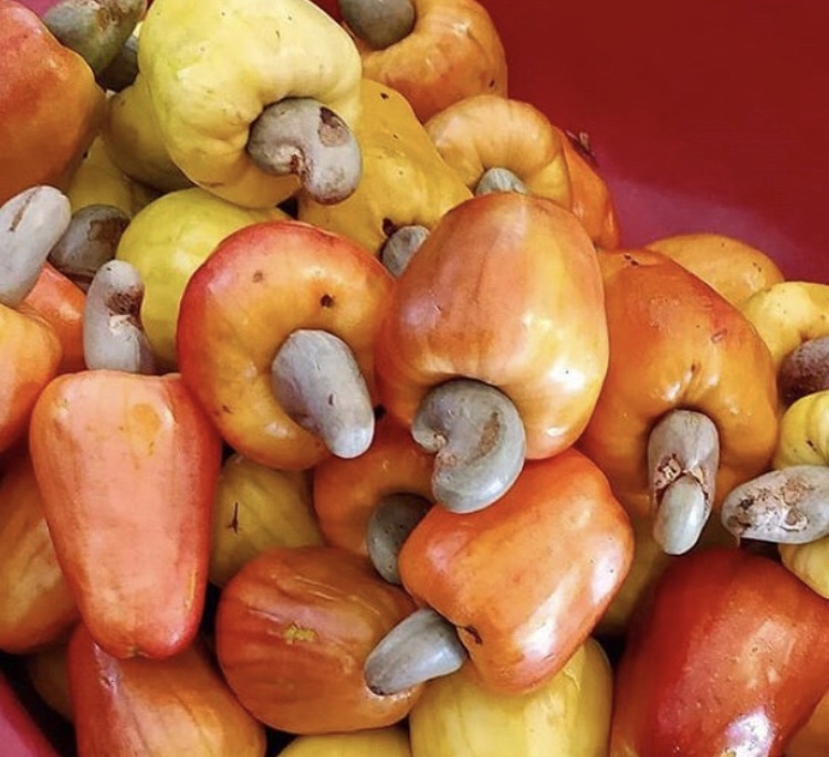 cashew benefits for toddlers