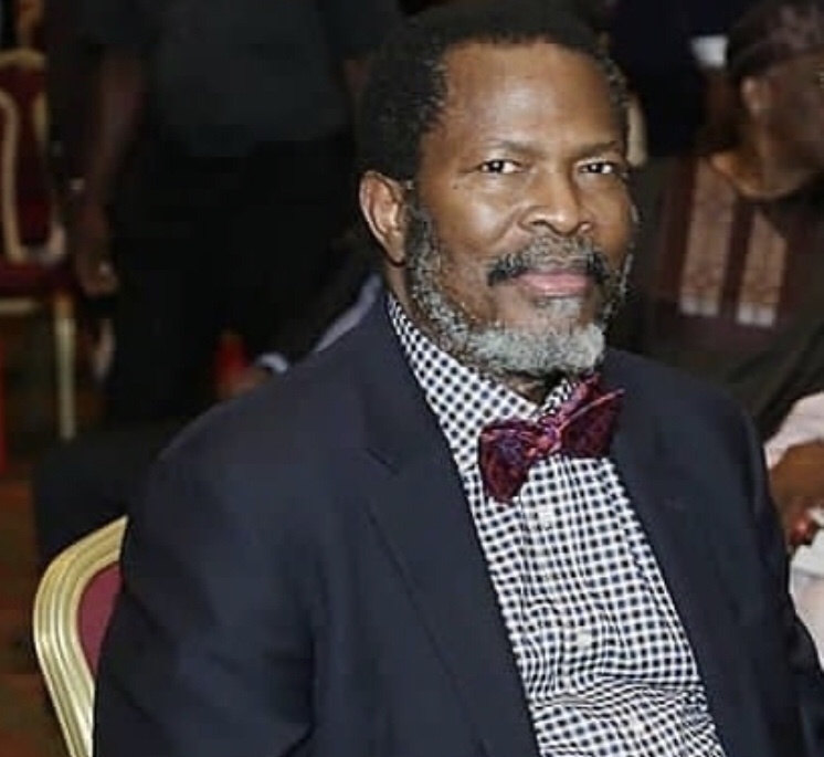 Arise TV founder, Nduka Obaigbena career and businesses 