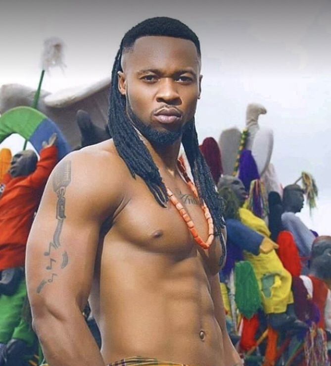 Flavour musics, Albums and Awards