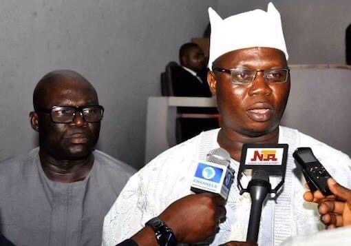 Gani Adams Career