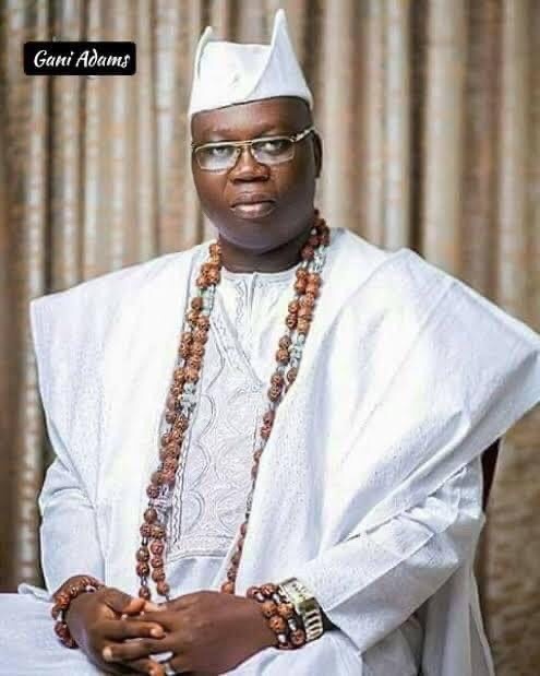 Gani Adams Biography, Age, Education, Career and Net Worth ...