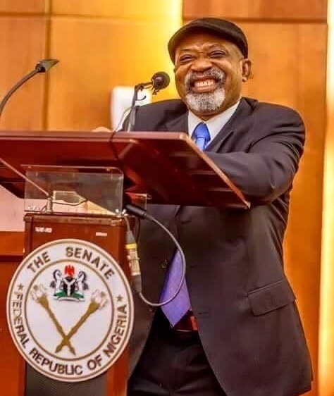 Chris Ngige Net Worth 