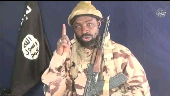 Abubakar Shekau death