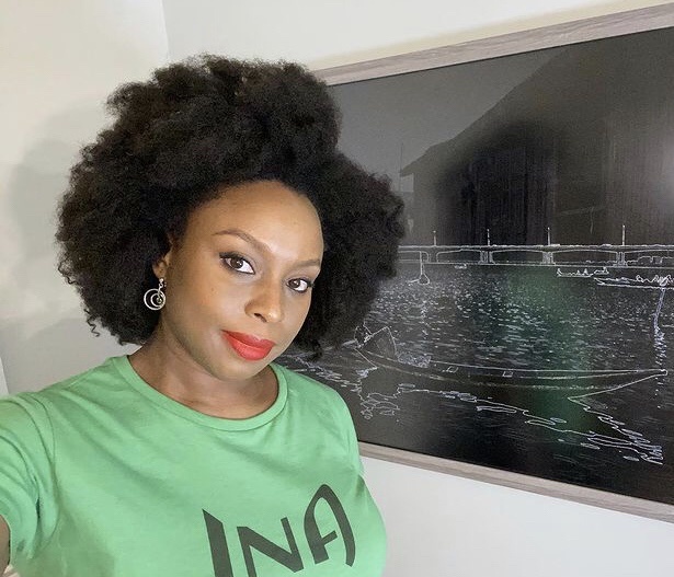 Chimamanda Adichie Career and Books