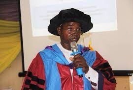 Prof Ibrahim Wushishi Career