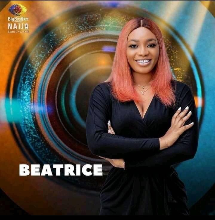 Beatrice BBNaija Career