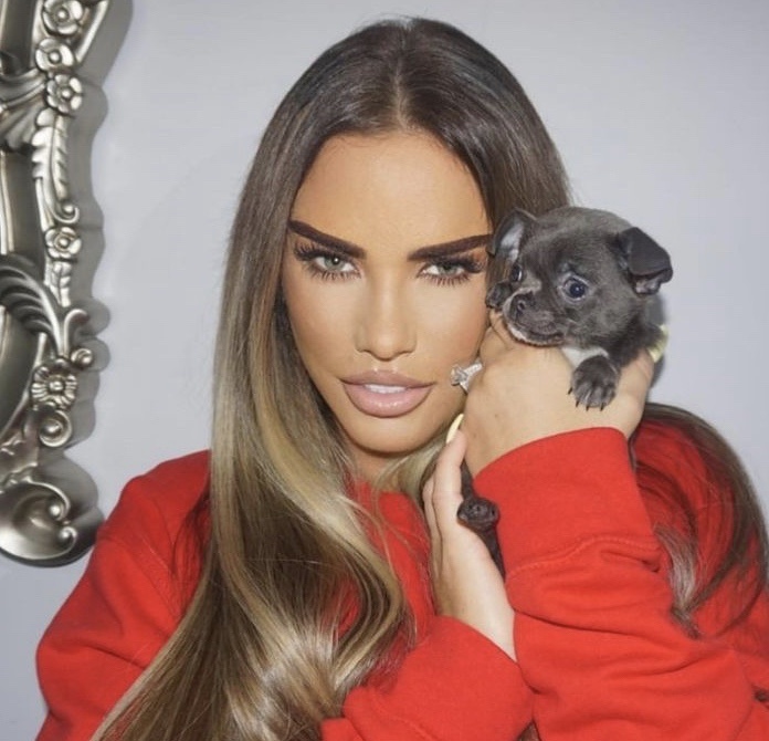 Katie Price Biography 