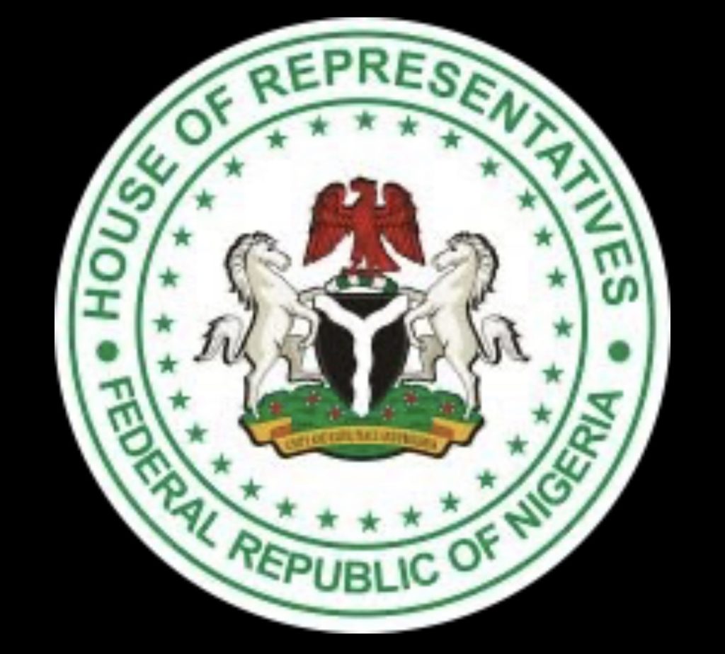 The Nigerian Federal House of Representatives and Functions - Contents101