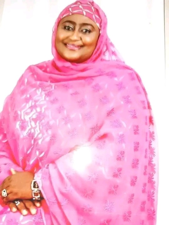 Aisha Bello Mustapha controversies