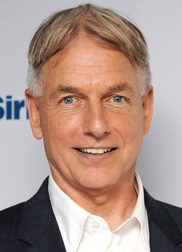 Mark Harmon net worth 