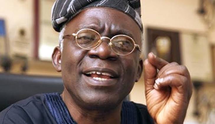 FEMI FALANA BIOGRAPHY