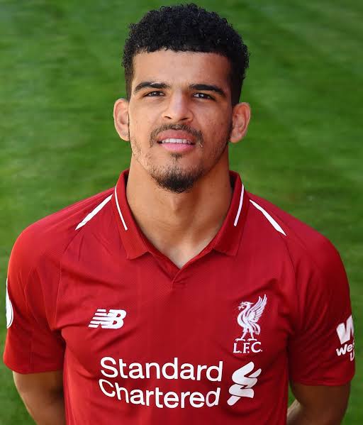 DOMINIC SOLANKE BIOGRAPHY