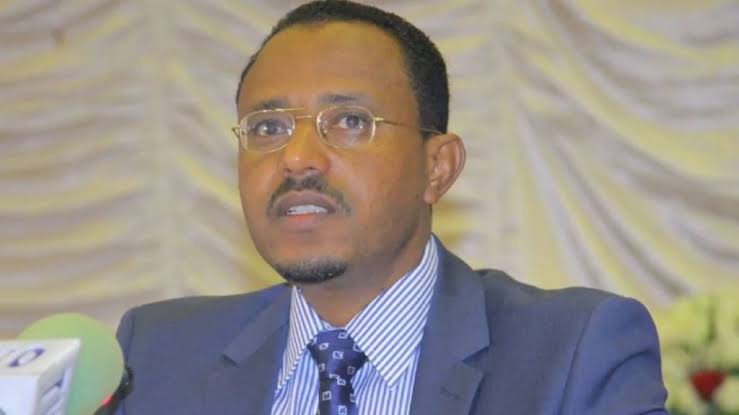 Lemma Megersa educational background 