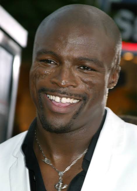 Seal Net worth
