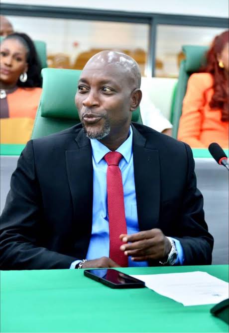 Hon. Nicholas Asonsere biography 