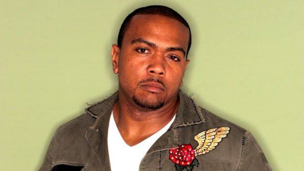 Timbaland Net worth 
