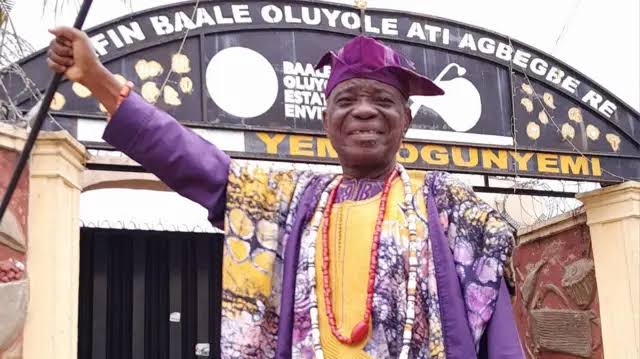 Yemi Ogunyemi Net worth 
