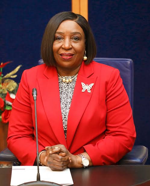 Ngozi Nma Odu Net worth