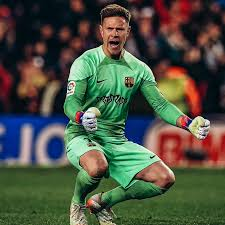 TER STEGEN NET WORTH