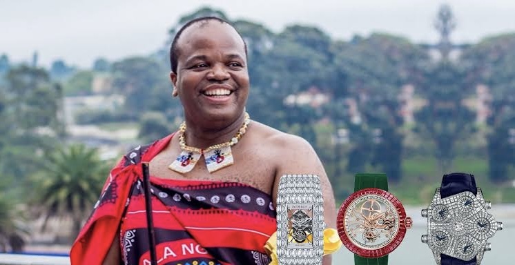 Mswati III Career 