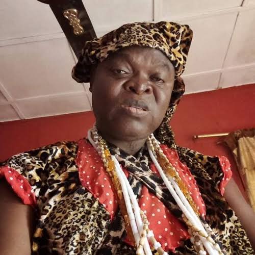 Ade Ajiboye Career