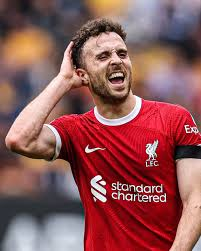 DIOGO JOTA BIOGRAPHY