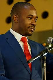 NELSON CHAMISA BIOGRAPHY