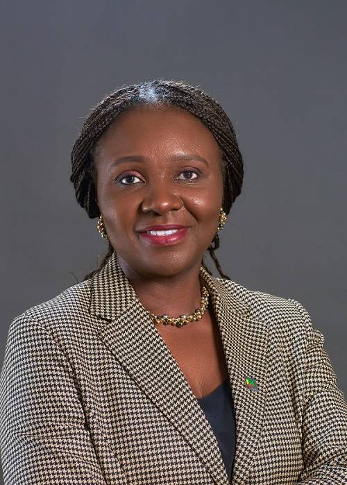 Oritsemeyiwa Eyesan biography 