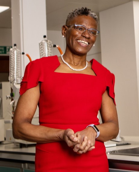 Prof Ijeoma Uchegbu educational background 