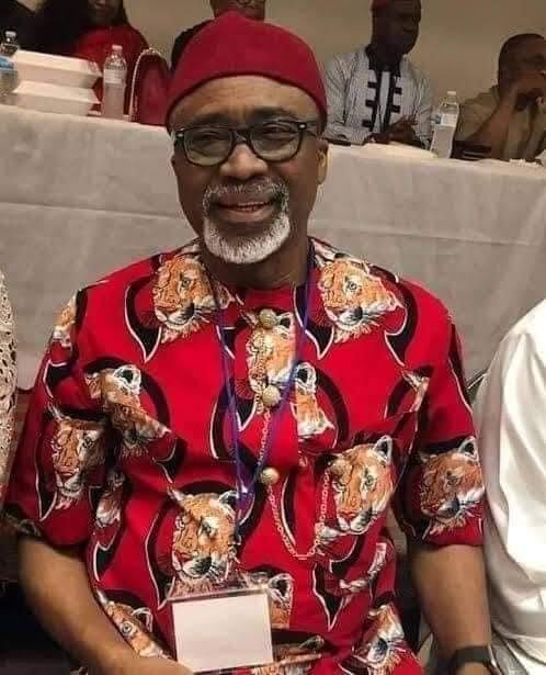 Enyinnaya Abaribe Net worth
