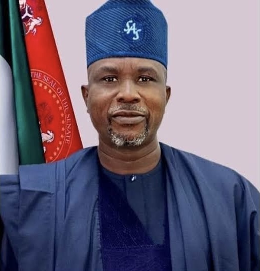 Sen. Afolabi Salisu Net worth