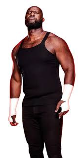 EDUCATIONAL BACKGROUND