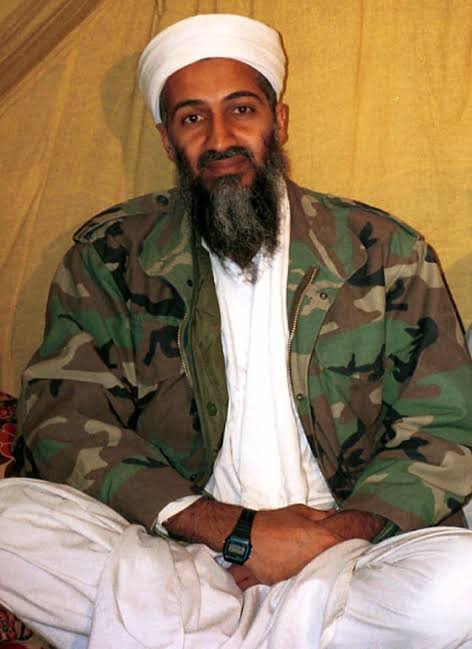 Osama bin Laden educational background 