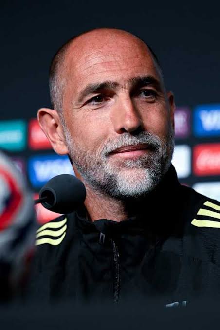 Igor Tudor biography 