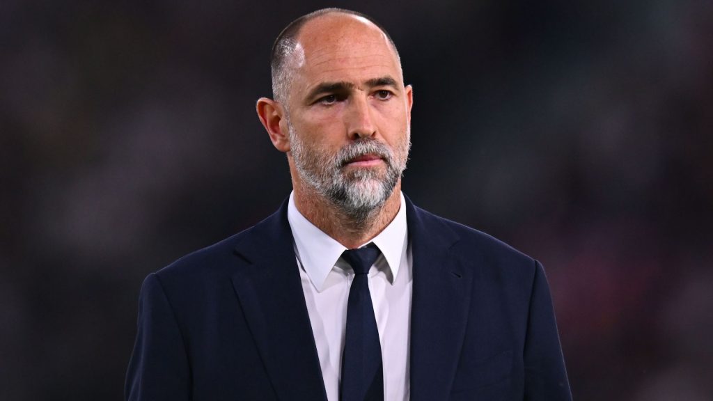 Igor Tudor educational background 