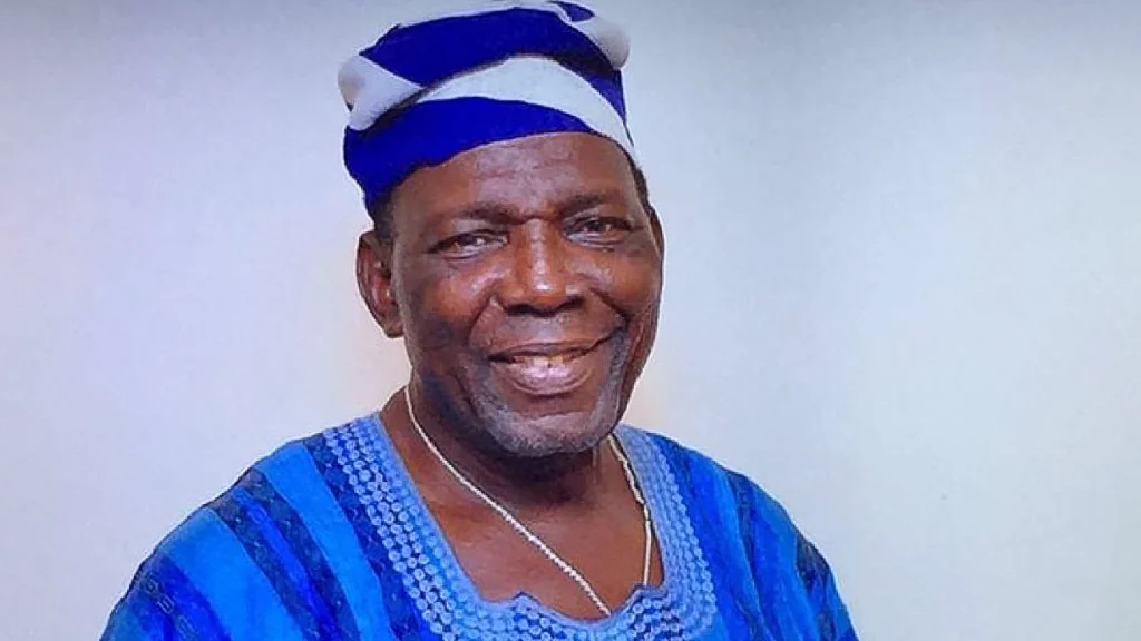 Festus Adegboye Onigbinde Career