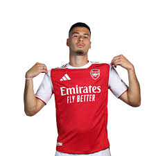 GABRIEL MARTINELLI NET WORTH