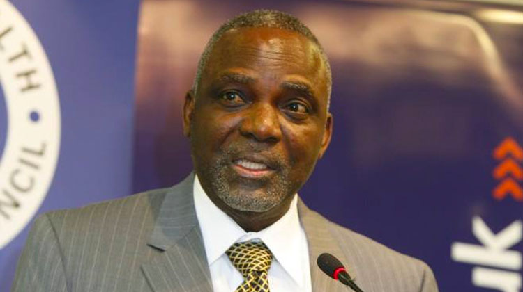 Barth Nnaji Educational Background