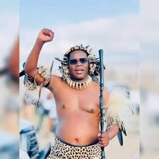 NGIZWE MCHUNU BIOGRAPHY