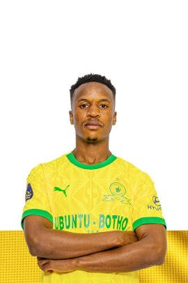 Themba Zwane Educational Background 