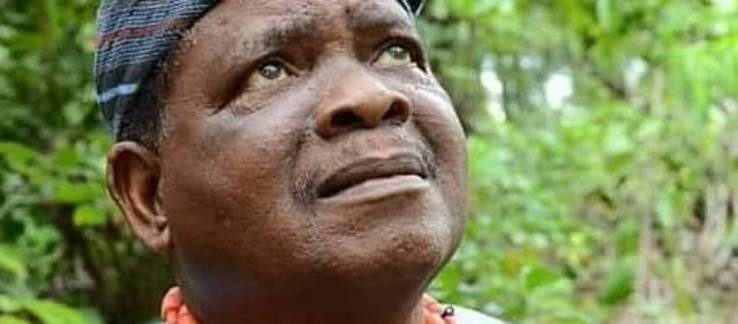 KOLA OYEWO NET WORTH